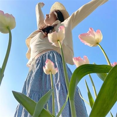 孤鸟罗宾